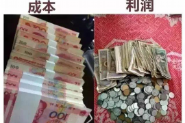 宜阳专业讨债公司有哪些核心服务？